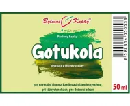Gotukola (gotu kola) - krople ziołowe (nalewka) 50 ml