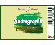 Andrographis (andrographis - prawoskrzydłowe drzewo) (TCM) - krople ziołowe (nalewka) 50 ml