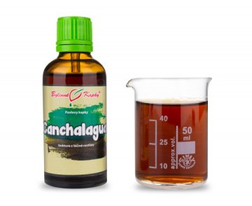 Canchalagua - krople ziołowe (nalewka) 50 ml