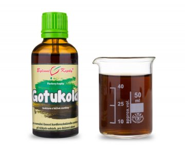 Gotukola (gotu kola) - krople ziołowe (nalewka) 50 ml