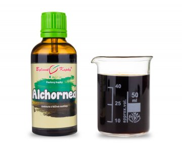 Alchornea - krople ziołowe (nalewka) 50 ml