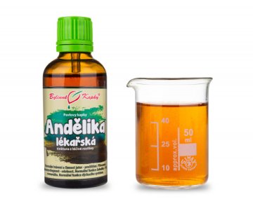 Dzięgiel (Angelica, Dehel) leczniczy - krople ziołowe (nalewka) 50 ml
