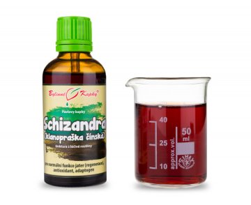 Schizandra (proszek klanowy) (TCM) - krople ziołowe (nalewka) 50 ml