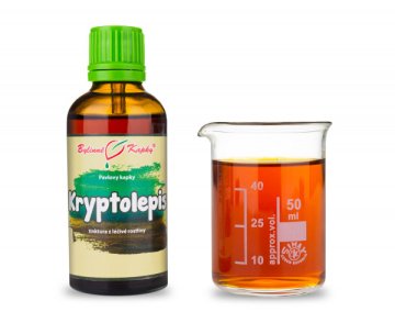 Kryptolepis (Cryptolepis) - krople ziołowe (nalewka) 50 ml