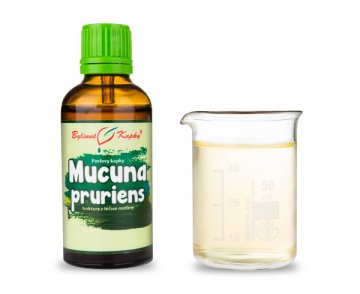 Mucuna pruriens - krople ziołowe (nalewka) 50 ml