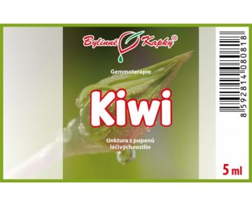 Kiwi - nalewka z pąków 5 ml - gemmoterapia