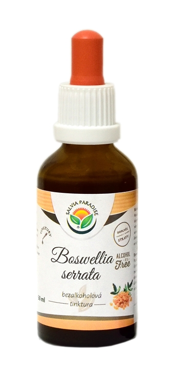 Boswellia serrata - Frankincense AF nalewka 50 ml