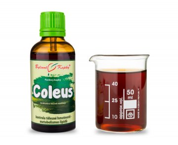 Coleus - krople ziołowe (nalewka) 50 ml