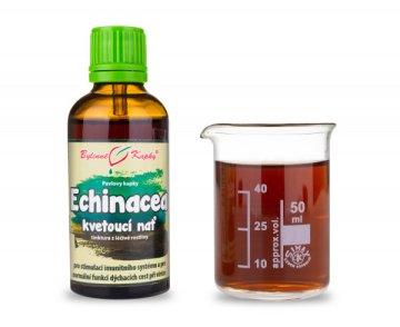 Echinacea (szyszka) nić kwitnąca (krople ziołowe - nalewka) 50 ml