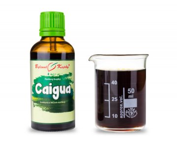 Caigua - krople ziołowe (nalewka) 50 ml