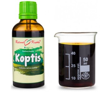 Koptis (TCM) - krople ziołowe (nalewka z koptis) 50 ml