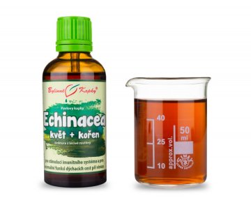 Echinacea (szyszka) łodyga kwitnąca + korzeń (krople ziołowe - nalewka) 50 ml