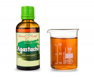Agastache - krople ziołowe (nalewka) 50 ml