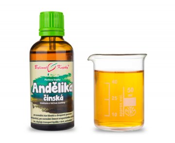 Angelica (Angelica, Dehel) Chinese (TCM) - krople ziołowe (nalewka) 50 ml
