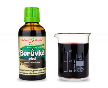 Owoce Borówki - krople ziołowe (nalewka) 50 ml